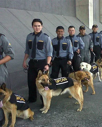 Guías de SIPCAN con sus canes de seguridad